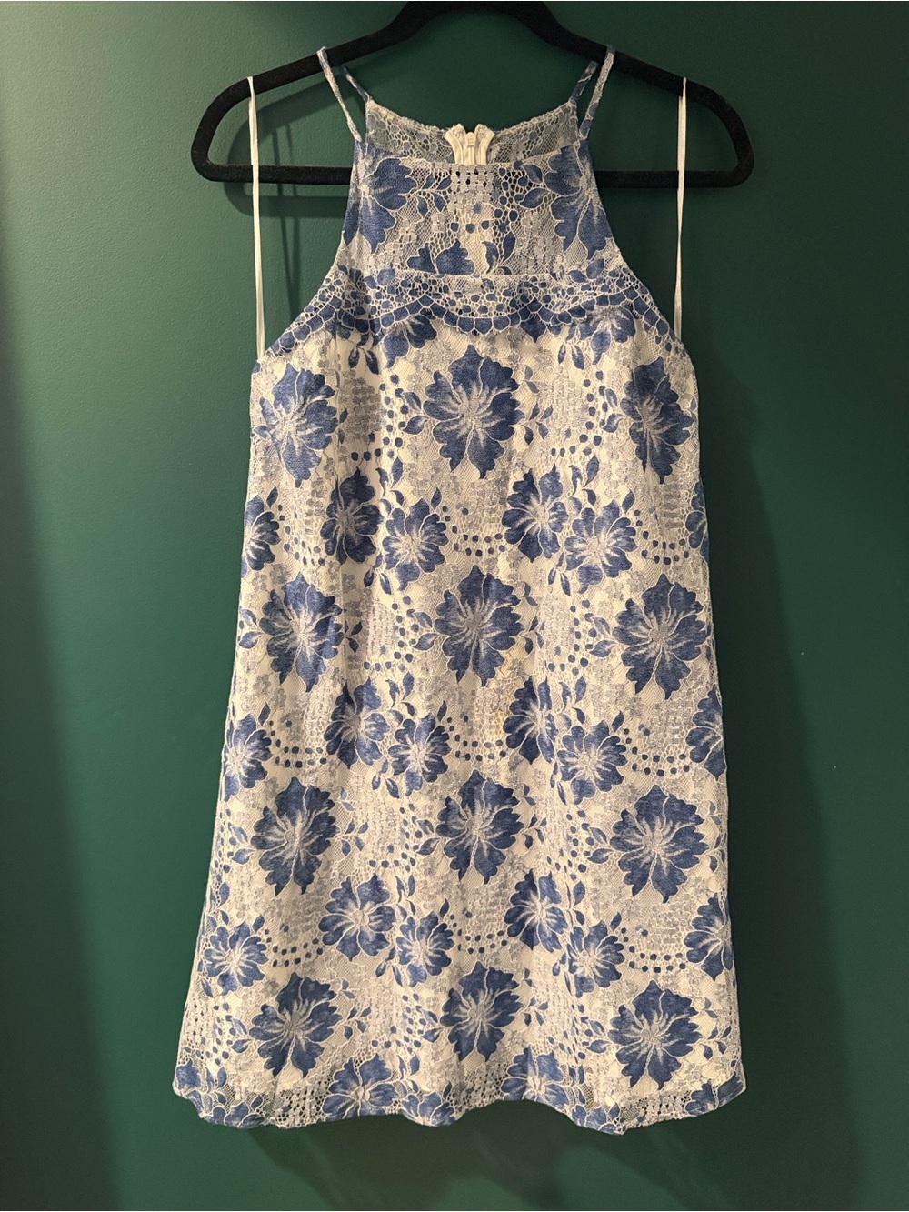 Belle Badgley Mischka Dress